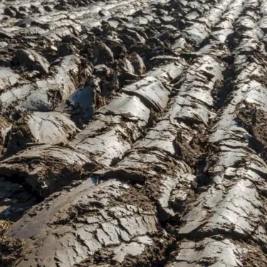 Hæk til svær eller våd jord 